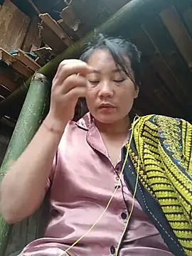 Ppphung webcam