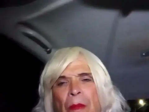 dustbunny64 webcam