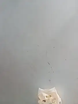 -Bitilu- webcam