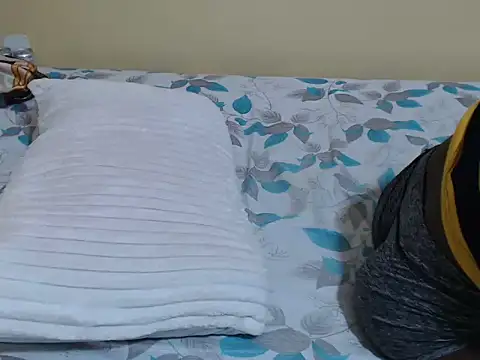 lynnsee webcam