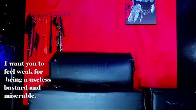 ArtemisaStone webcam