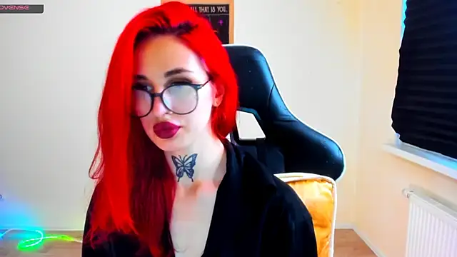 your_tora webcam