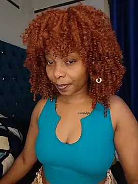 schatz_harvin webcam