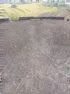 Hily_wet webcam