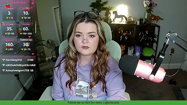 Briieverly webcam