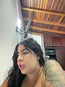 Madisson-Rivass webcam