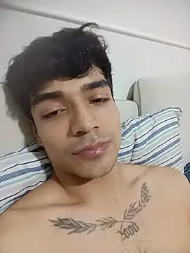 INDICO22 webcam