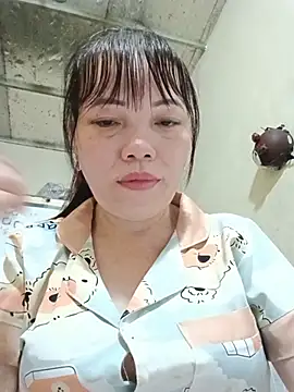 Sana-vn webcam