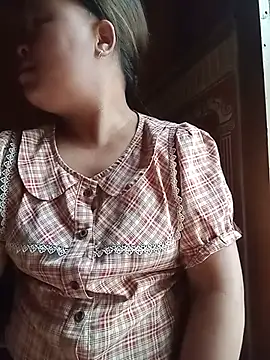 Ip34 webcam