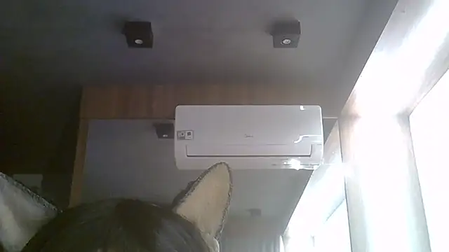 SkinnyKitten webcam
