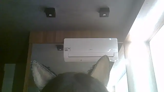 SkinnyKitten webcam