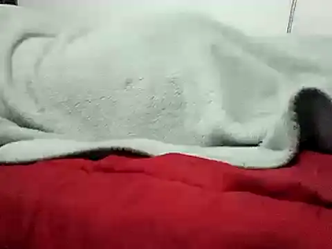 saraborges webcam