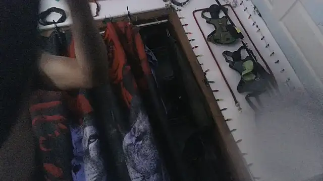 Buffshagswell webcam