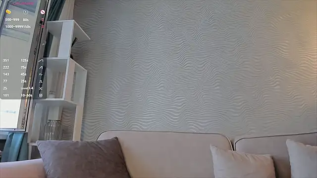SageFrommer webcam