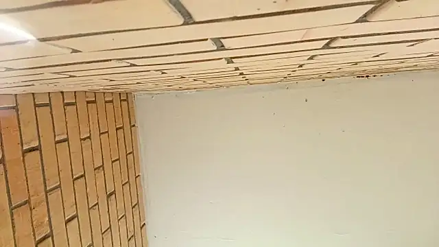 IronicBuckle webcam