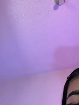 -Brittanny webcam