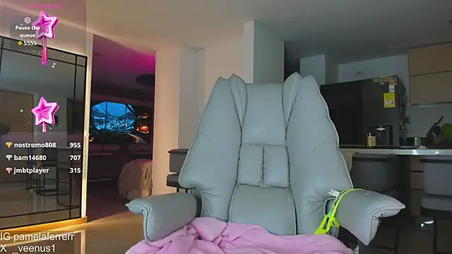 _veenus webcam