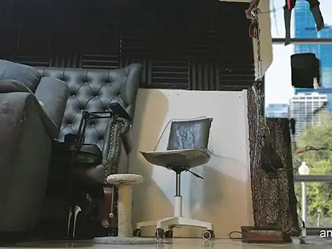 angelinasia