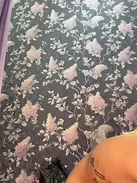 NinaVerse webcam