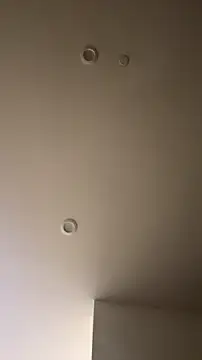 allpawgsgotoheaven webcam