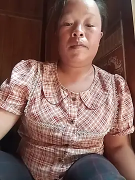 Ip34 webcam