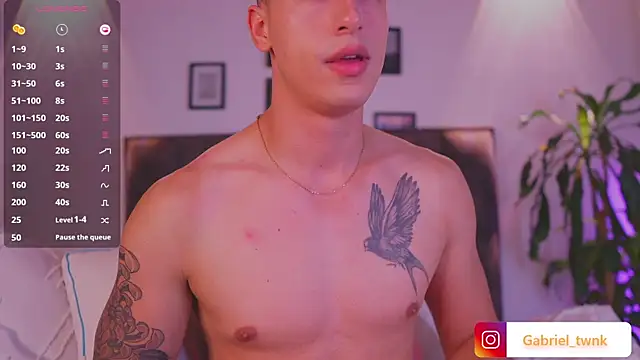 I_Gabriel webcam