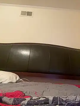 ThickDic28 webcam