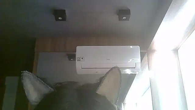 SkinnyKitten webcam
