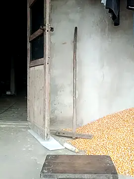 BaoHan22 webcam