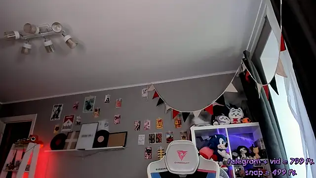 Viv_Player webcam