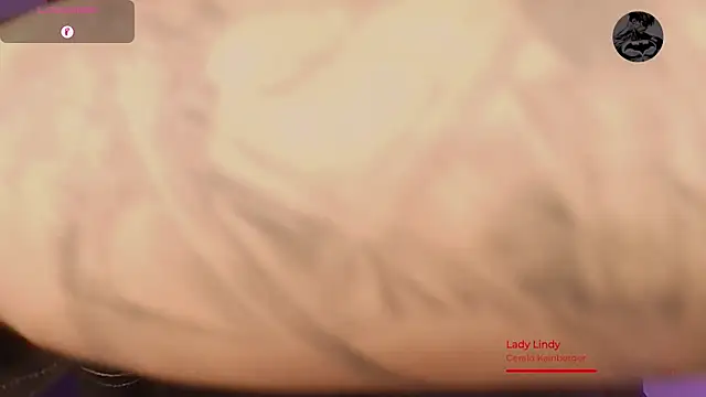BjornSteel webcam