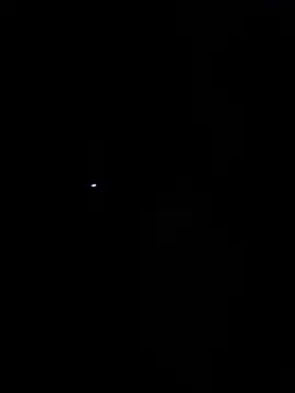 IttyBittyStonie webcam
