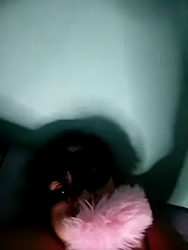 BETY2026 webcam