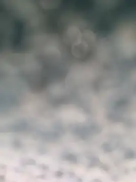 B-B-C-8 webcam