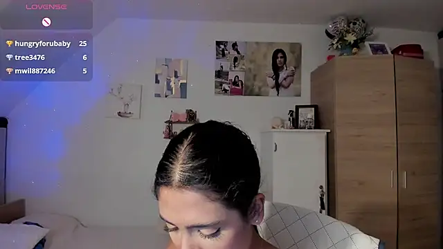 Veronikolsen- webcam