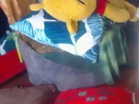 janex69
