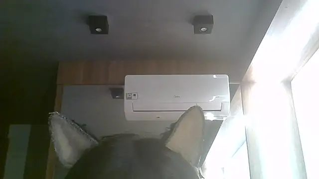 SkinnyKitten live cam