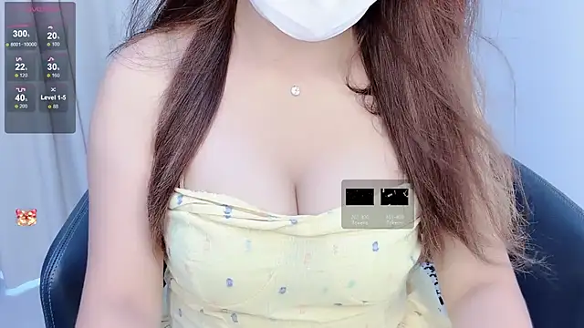Dollar-2 webcam