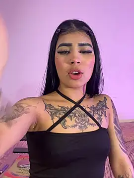 -Brittanny webcam
