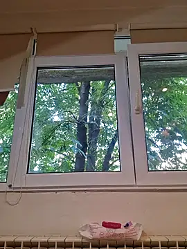 Evadesirex46 webcam