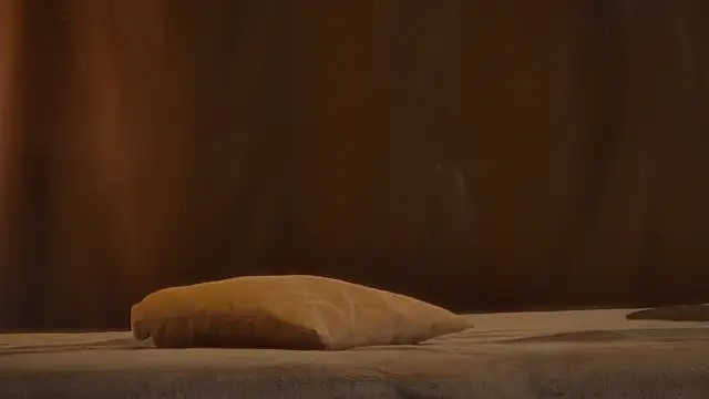 JennyPortman webcam
