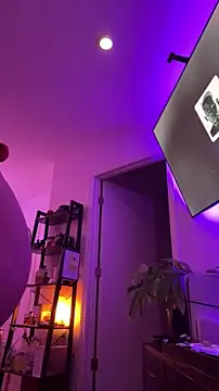 allpawgsgotoheaven webcam