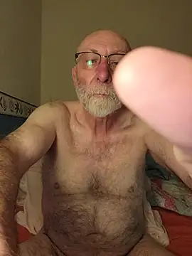 briochin webcam