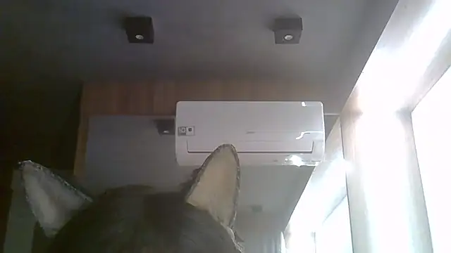 skinnykitten - SkinnyKitten's free webcam - UK Sex Cams