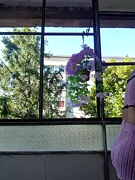 Evadesirex46 live cam on StripChat
