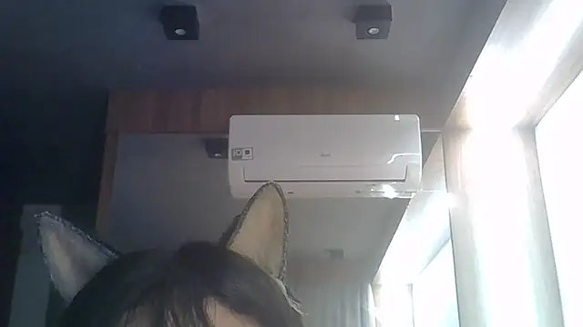SkinnyKitten webcam