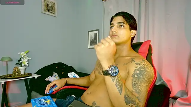 Rebor_phoenix1 webcam