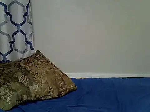 Shash_drip webcam