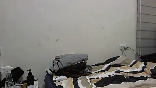 HH_DT webcam