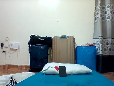 Star_dollar webcam